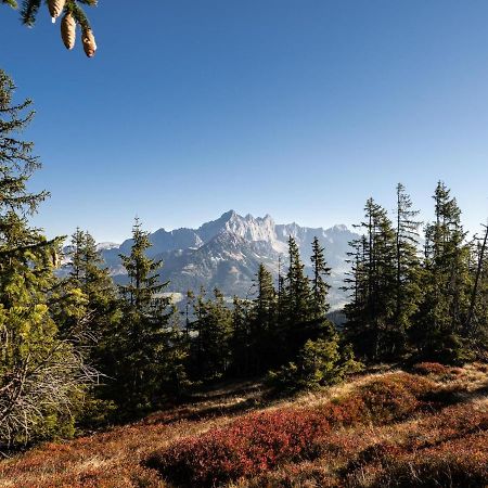 Schattbergblick Saalbach-Hinterglemm Kültér fotó