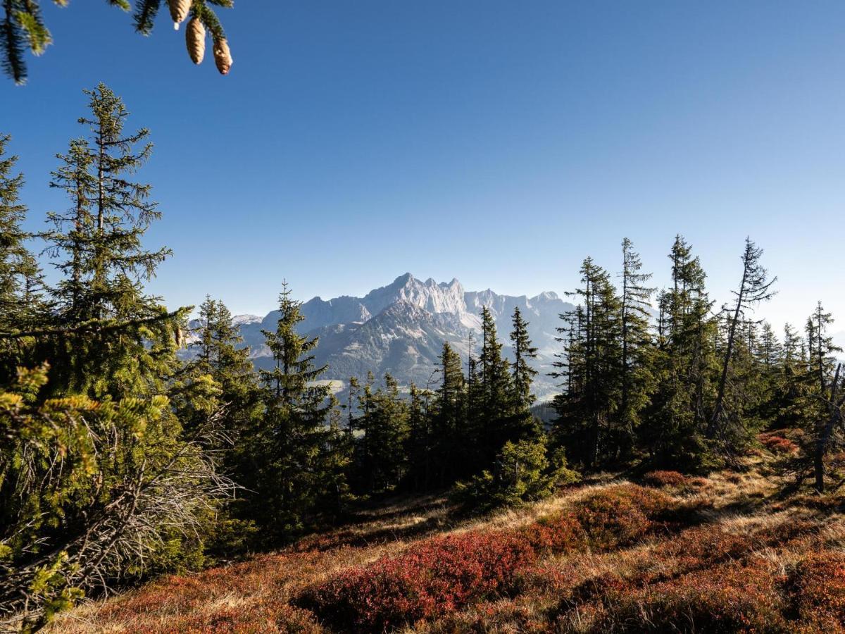 Schattbergblick Saalbach-Hinterglemm Kültér fotó